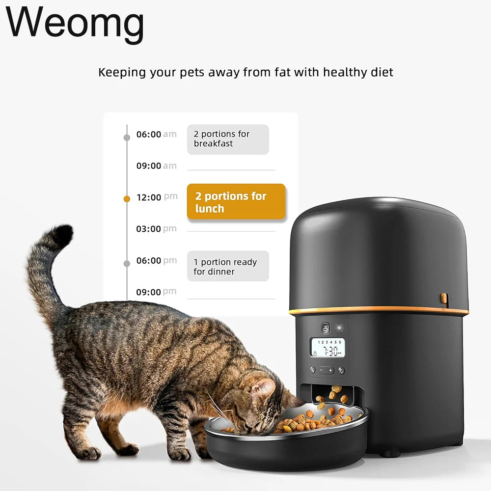 2L Button Wifi Camera Automatic Cat Feeder Pet Smart Cat Food Dispenser Timer Stainless Steel Bowl Auto Feeder for Cats Dog Bowl