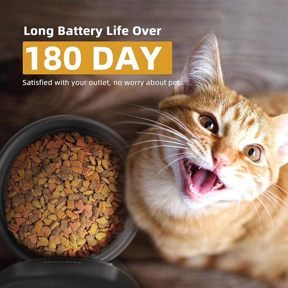 2L Button Wifi Camera Automatic Cat Feeder Pet Smart Cat Food Dispenser Timer Stainless Steel Bowl Auto Feeder for Cats Dog Bowl